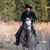 Jesse Hinebaugh's profile image