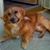 Bojorquez Roberto's profile image