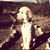 Agetro Jessica's profile image