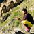 Omar Sinchi's profile image