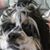 Pam Cravey's profile image