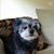 Robin Dawn Boukaia's profile image
