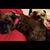 Donna Roberson's profile image