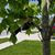Christina Riegling Robinson's profile image