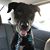 Amy Davis Kennedy's profile image