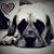 Tracy Dunn Kutsch's profile image