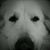 Eugene Baltzell's profile image