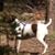 Judy Mulkey Lowe's profile image