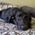 Beverly Churilla Berkowitz Reyff's profile image