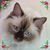 Betsy Jackson's profile image
