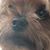 Amy Myers's profile image