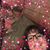 Marlene Youngheim Lombardo's profile image