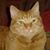 Joanne Ferrell's profile image