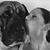Deb Guerrieri's profile image
