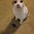 Donna Jean Danjanovich McDougal's profile image