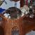 Judy Neimeyer Hannis's profile image