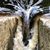 Dave Baptista's profile image