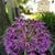 Donna Wake's profile image