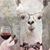 Melanie Bunton Matzen's profile image