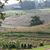 Joppa Ridge's profile image