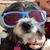 Barbie Jane's profile image