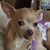 Jerrell N Alice Hudman's profile image
