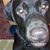 Sue Nichols's profile image