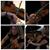 Beth McCumber Wilberger's profile image