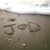Joanne Van Slyke Fawcett's profile image