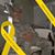 Brandon Welch's profile image