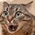 Rebecca Wagenheimer's profile image
