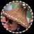 April Solomon's profile image