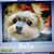 Linda Kesterson Stein's profile image
