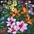 Lisa Roberts's profile image