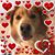 Erik Vojtecky's profile image