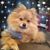 Tina Pomykala Weir's profile image