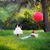 Roberta Salas-Noriega's profile image