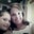 Melissa Barnette's profile image