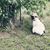 Kylene Hing's profile image