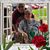 Debbie Hopkins's profile image