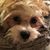 Pat Eisch's profile image