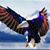 James Tuggle's profile image