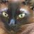 Mae Carey's profile image
