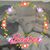 Mary Van Milligen Bortolotti's profile image