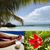 Julie DeYoung's profile image