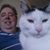 Tom Desautel's profile image