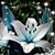 Evelyn Cruz Quinones's profile image