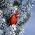 Sheryle Parrish's profile image