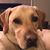Janell Simpson's profile image