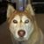 Teresa Hein Wallace's profile image